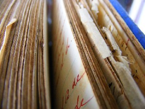 biblioteca 146 copy.jpg